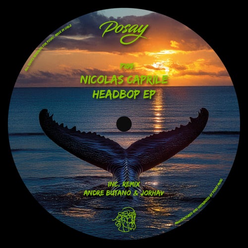 Release of the week