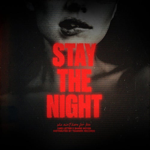 Stay The Night