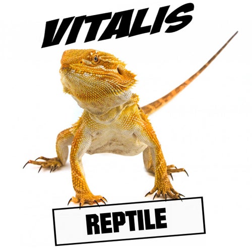 Reptile