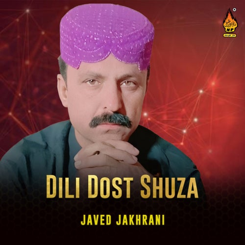 Dili Dost Shuza