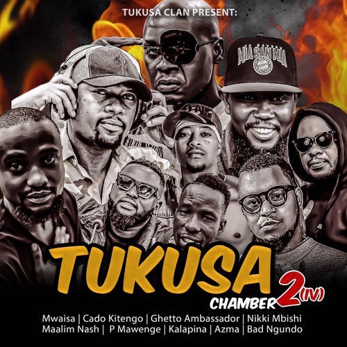 Tukusa 2 iv