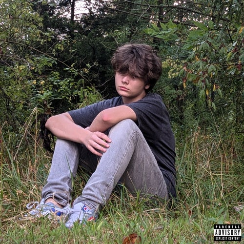 dontcareaboutwhatusay (feat. onlinemonkey)