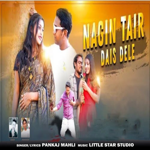 Nagin Tair Dais Dele (Nagpuri Song)