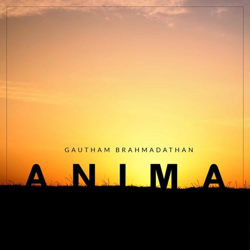 Anima