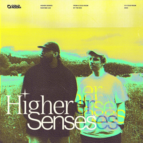 Higher Senses