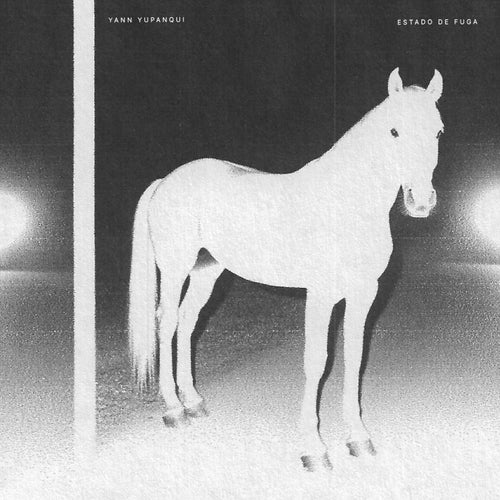 Release of the week