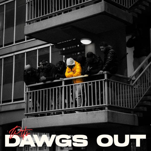 Dawgs Out