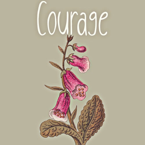 Courage