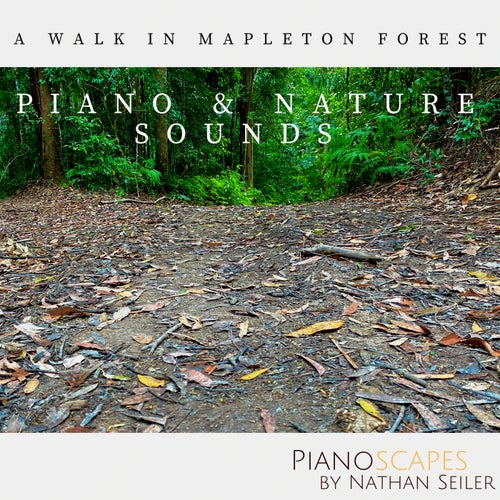 A Walk In Mapleton Forest - Piano & Nature