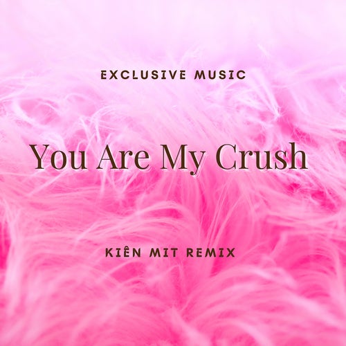 You Are My Crush (Kiên Mit Remix) [Full Instrumental]