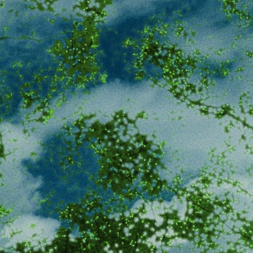 残像 (16FLIP Remix)