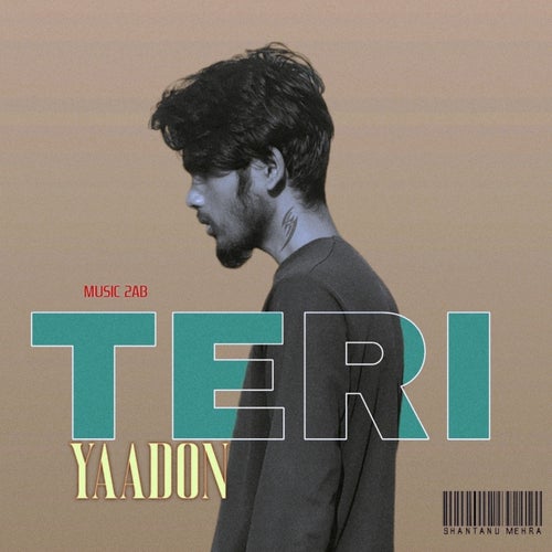 Teri Yaadon