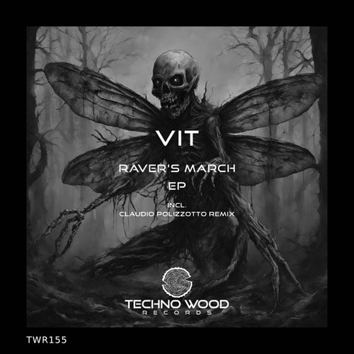 Release of the week