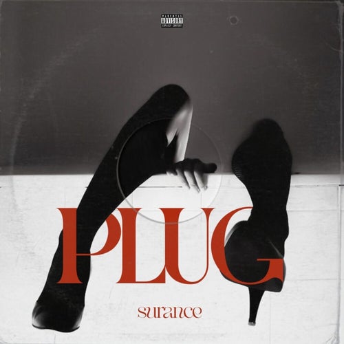 Plug