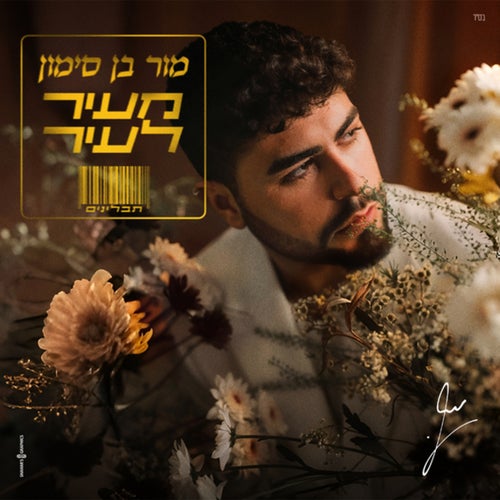 מעיר לעיר