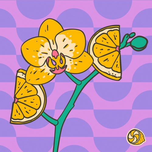 Orchids Growing