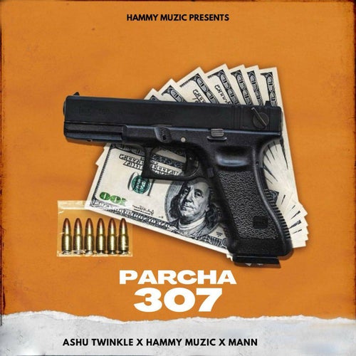 Parcha 307