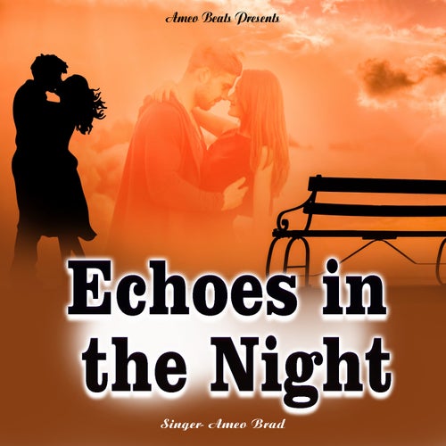 Echoes In The Night
