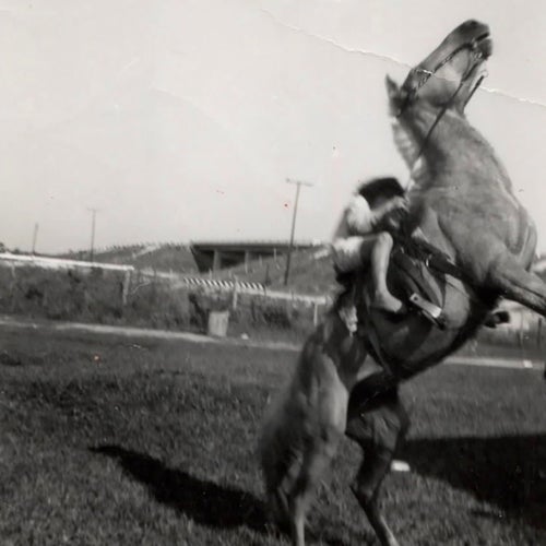 A Horse Named Proletariat (Extended Version)