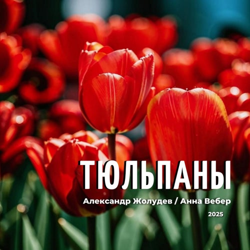 Тюльпаны