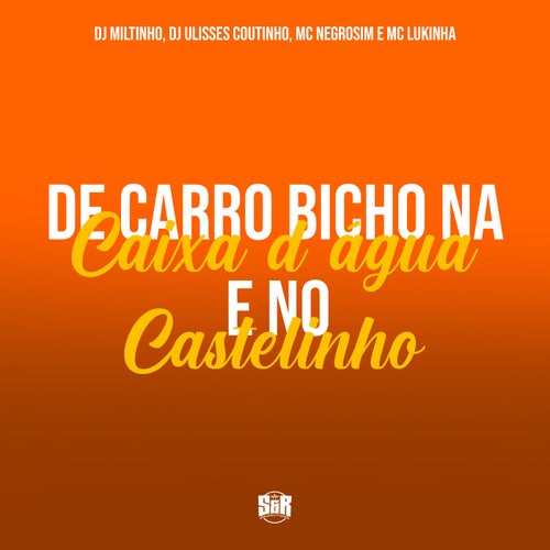 De Carro Bicho na Caixa D'agua e no Castelinho