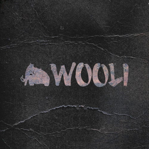 Wooli Profile