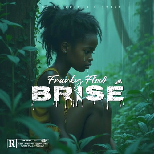 Brisé