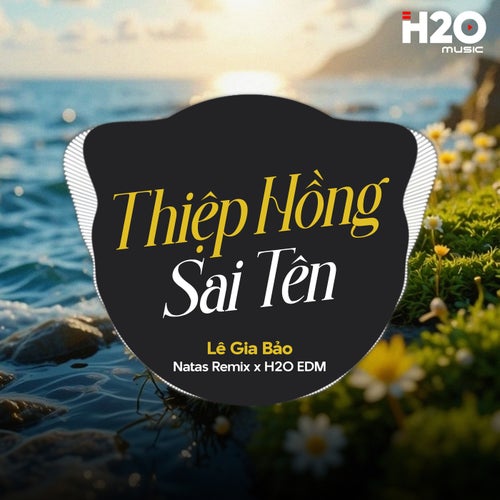 Thiệp Hồng Sai Tên (Natas Remix)