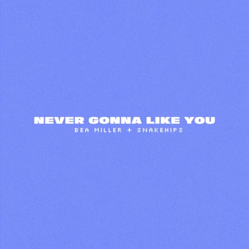 NEVER GONNA LIKE YOU (Clean Version)