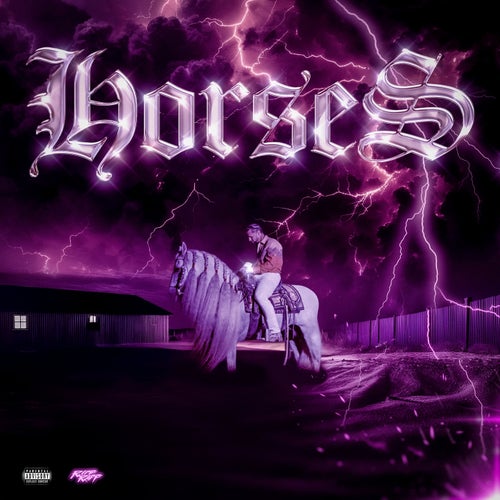 NEED MORE HORSES