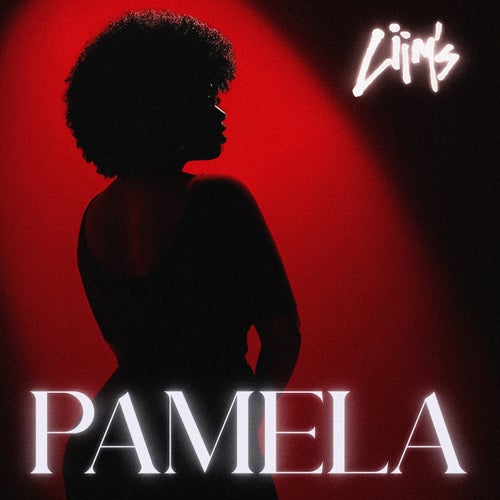 PAMELA