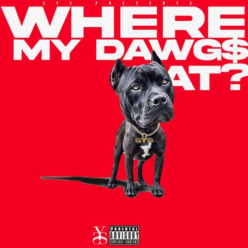 WHERE MY DAWG$ AT (feat. 17kartier, Kd Hellcat, Lil Leek)