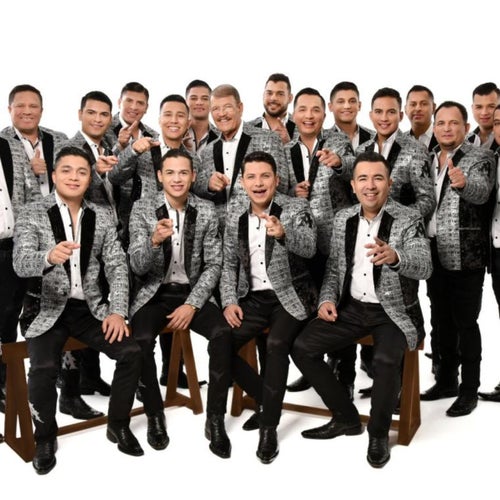 La Arrolladora Banda El Limón De René Camacho Profile