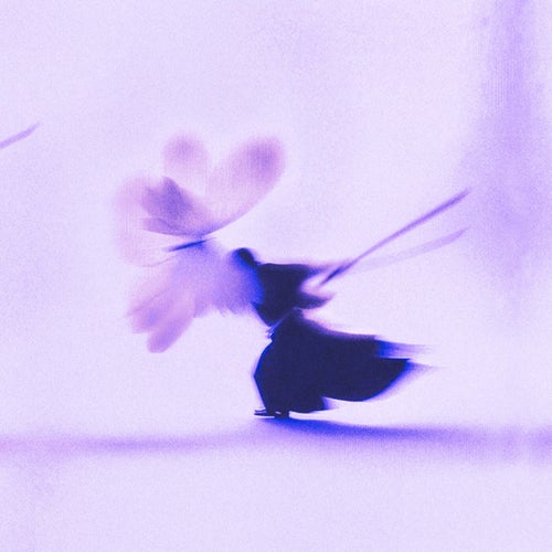 Izanami II