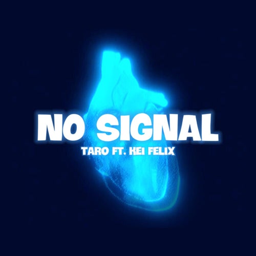 No Signal