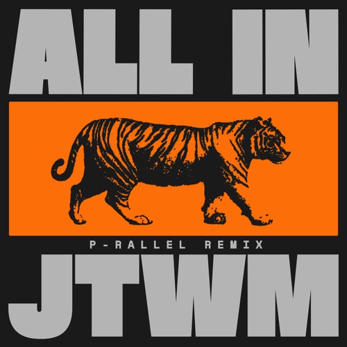 ALL IN (feat. Rimarkable) (p-rallel Remix)