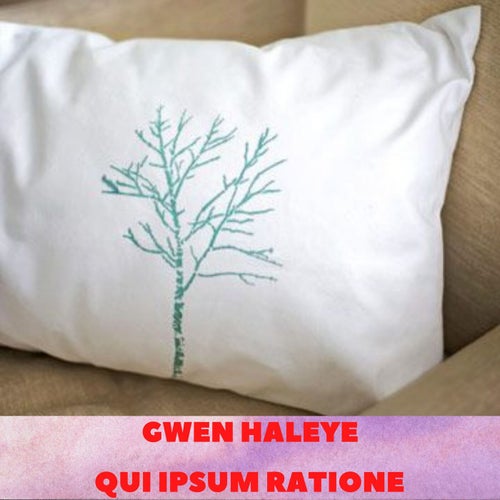 Qui Ipsum Ratione