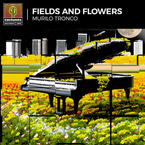 Fields & Flowers