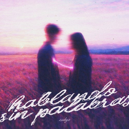Hablando sin palabras