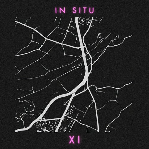 In Situ: XI