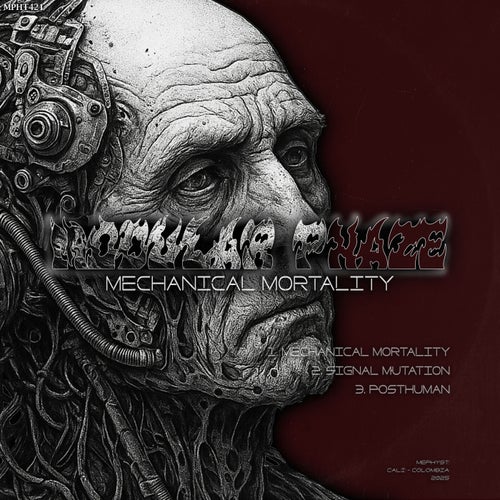 Mechanical Mortality