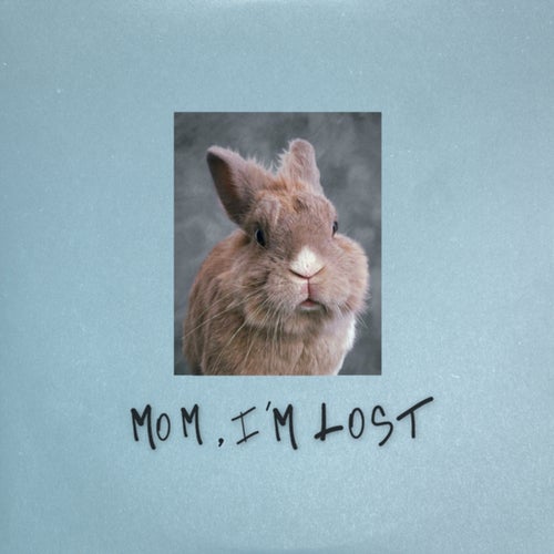 Mom, I'm Lost