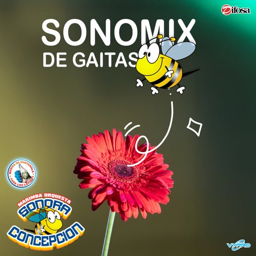 Sonomix Gaitas: El Apagón / Cayetano / Baila Rosa. Música de Guatemala para los Latinos