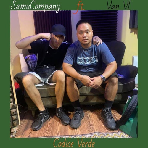 Codice verde