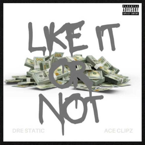 Like It Or Not (feat. Ace Clipz)