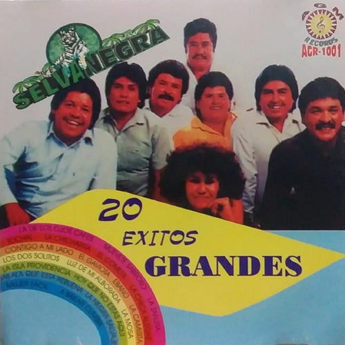 20 Exitos Grandes