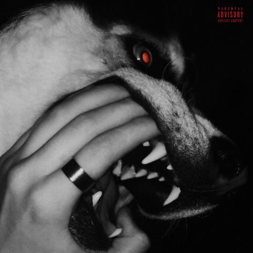 Release of the week