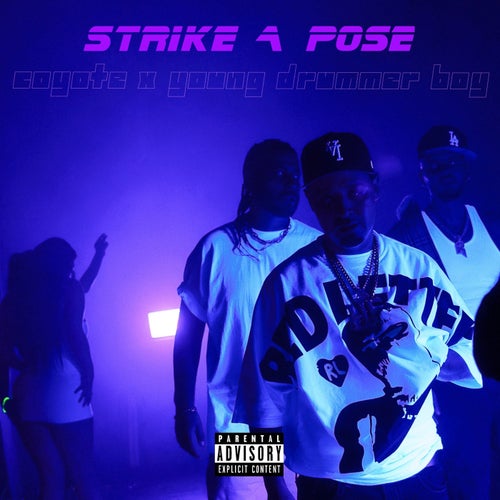 Release of the week