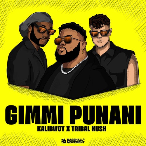 Gimmi Punani
