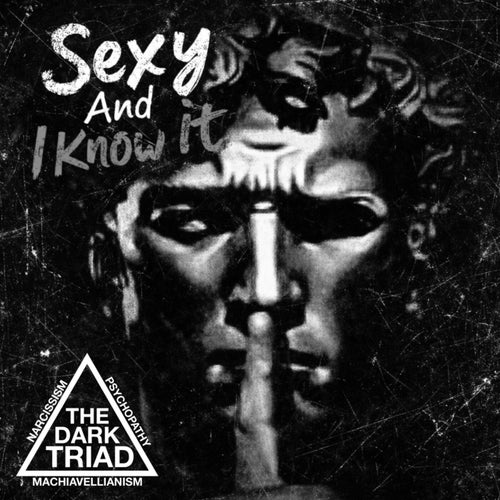 Sexy And I Know It